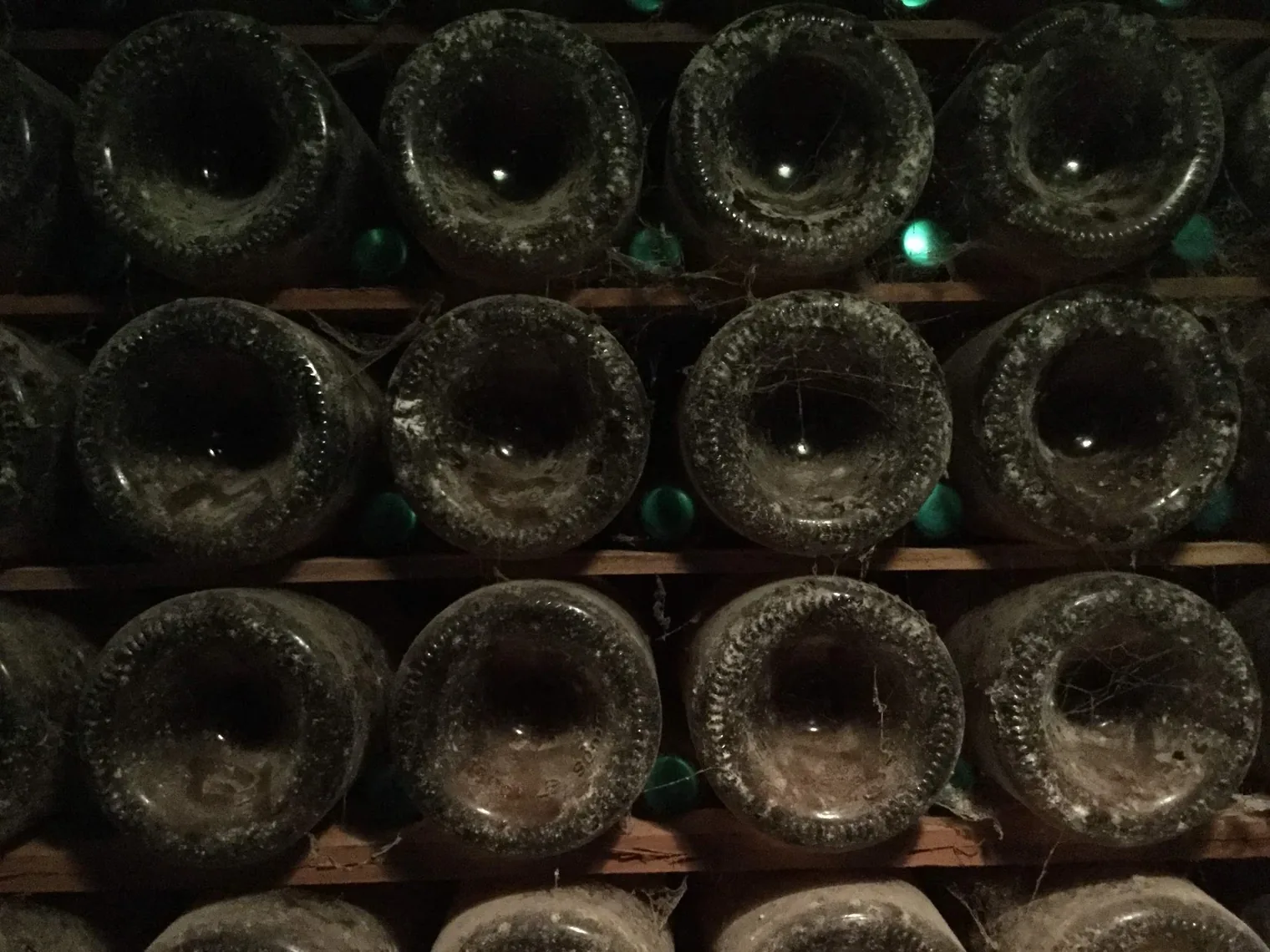 Close-up of dusty aged wine bottles resting on wooden racks with cobwebs between them